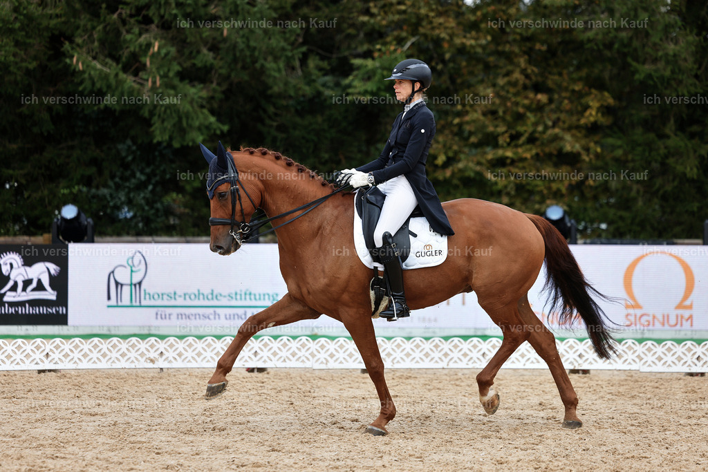 12-220-DRESSUR  S___  -StoibPH-5312 | working equitationturnier fotograf videograf stoibphotography marixx film working equitation deutschland reitsport turnierfotografie eventfotografie equestrian events
