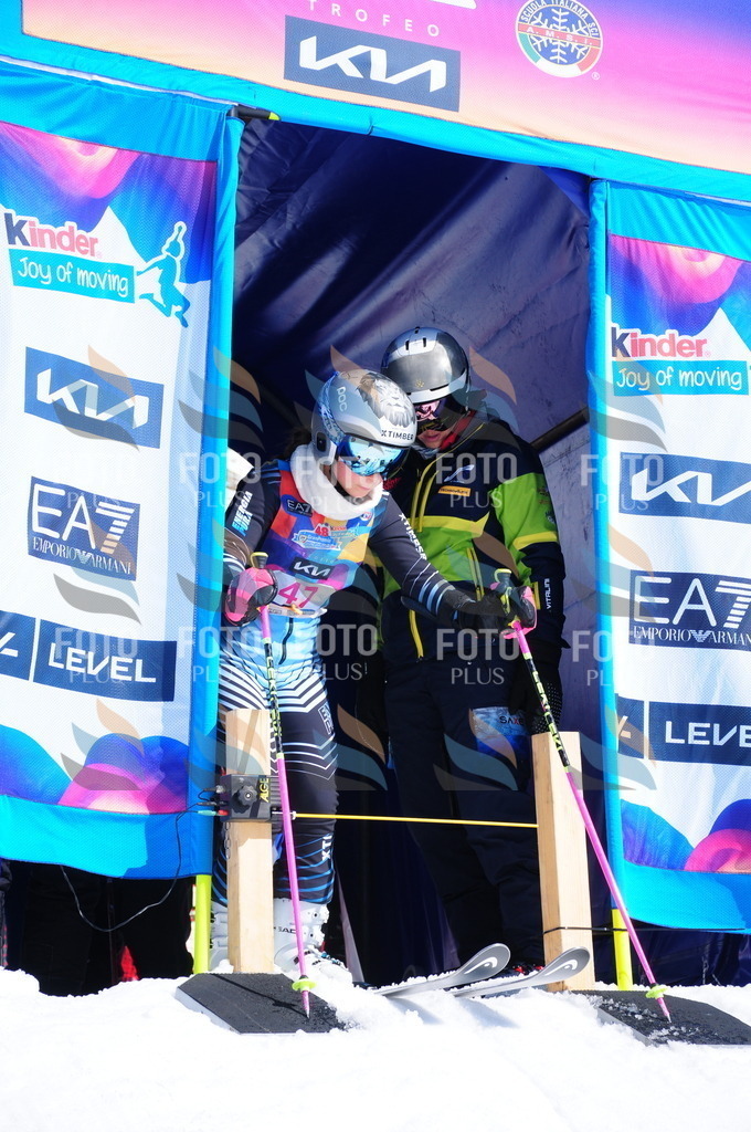 DSC_4146 | holidayphoto