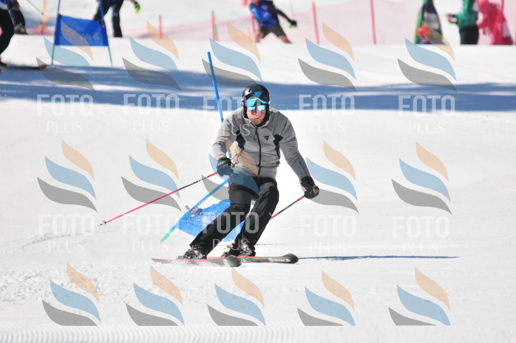 C3441 | holidayphoto