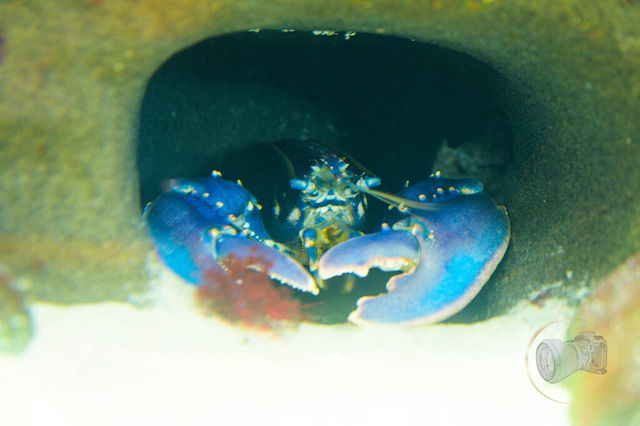 _DSC1389 | Shop für Prints Landschaftsfotografie Sächsische Schweiz Naturfotografie in Thüringen Fotos vom Findlingspark Nochten Kloster Sankt Marienstern Bilder Festung Königstein PanoramaRhododendronpark Kromlau FotogalerSchleswig-Holstein Küstenlandschaften