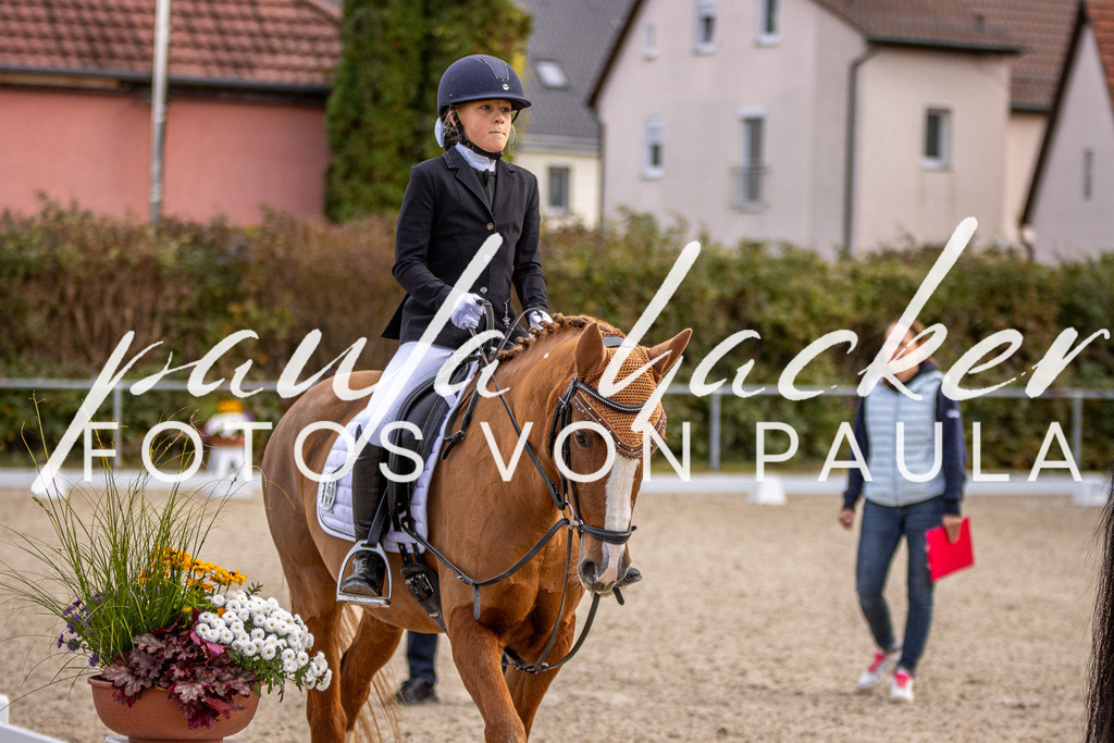 IMG_3495 | Erleben Sie dynamische Sport- und emotionale Tierfotografie in Süddeutschland mit Fotos von Paula. Spezialisiert auf Pferde- und Hundefotografie sowie Sportevents. Kontaktieren Sie mich für einzigartige und ausdrucksstarke Bilder Ihrer besonderen Momente.