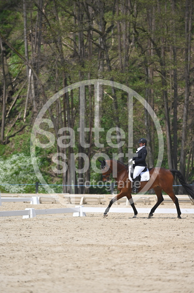 DSC_2083 | sattelsport - Realisiert mit Pictrs.com