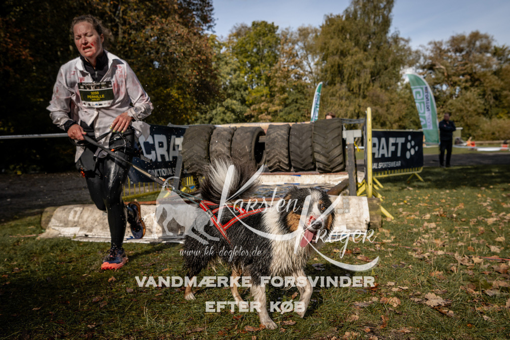 1357_ZZ93476 | kk-dogfotos