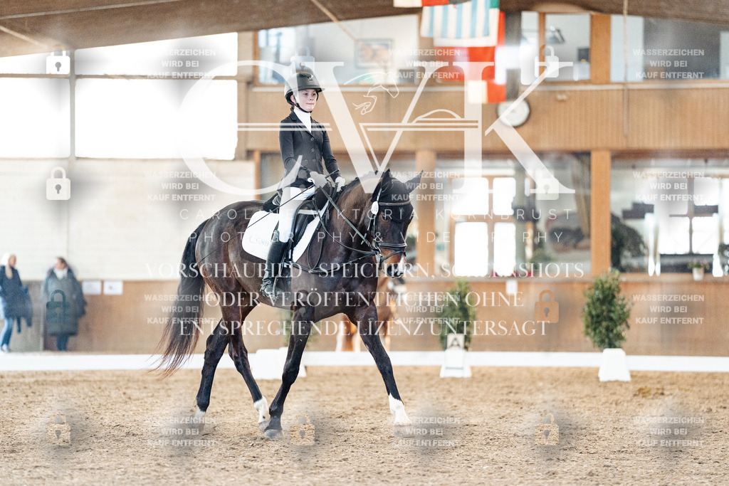 CK907133 | Turnierfotografie Pferdefotografie Trier Rheinland-Pfalz Pferdesport Reitsport Tierfotografie Sportfotografie Pferdevideo Pferdevideografie Equestrianvideography equestrianphotography  - Realisiert mit Pictrs.com