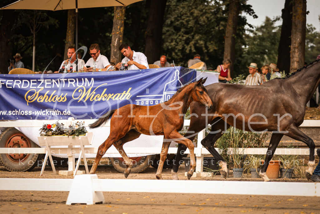 SaPA00111 | Leoni Ertmer Photography - Realisiert mit Pictrs.com