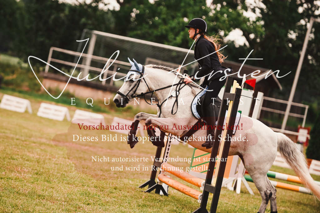 DSC_6966 | Pferde- und Turnierfotografie in Westsachsen. Pferdeportraits, Auftragszeichnungen und intuitive Kunst.