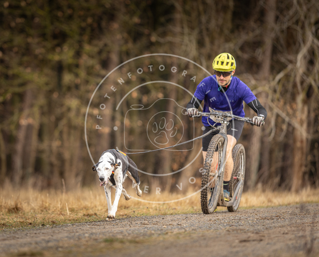 DV3A3412 | Hundefotografie, Tierfotograf, Pfotenfotografie, Fotoshooting Hund, Hunde Portrait, Hundesport, Hundeportraits, Heideshooting, Hunde, Sportfotograf, Hundefotograf, Turnierhundsport, THS,  - Realisiert mit Pictrs.com