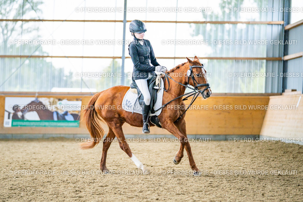 DSC04911 | Pferdegrafie