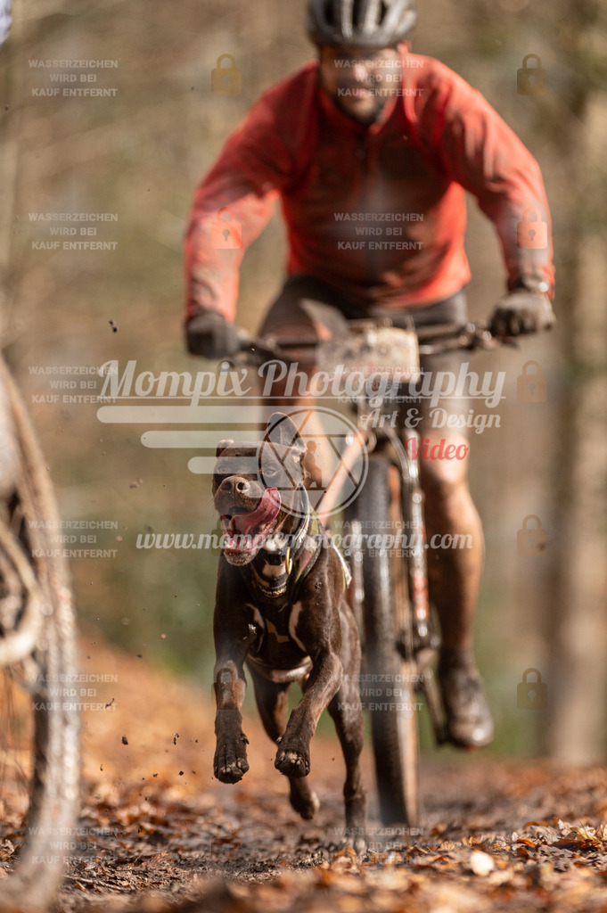 SPA_2023_DIM_Bike-71 | PayLife