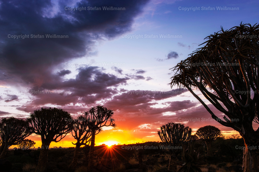 Namibia Fototour 2013 | Namibia Fototour 2013 - Realisiert mit Pictrs.com