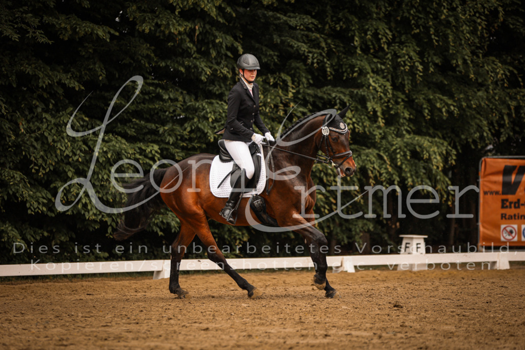 DoDrA00420 | Leoni Ertmer Photography - Realisiert mit Pictrs.com