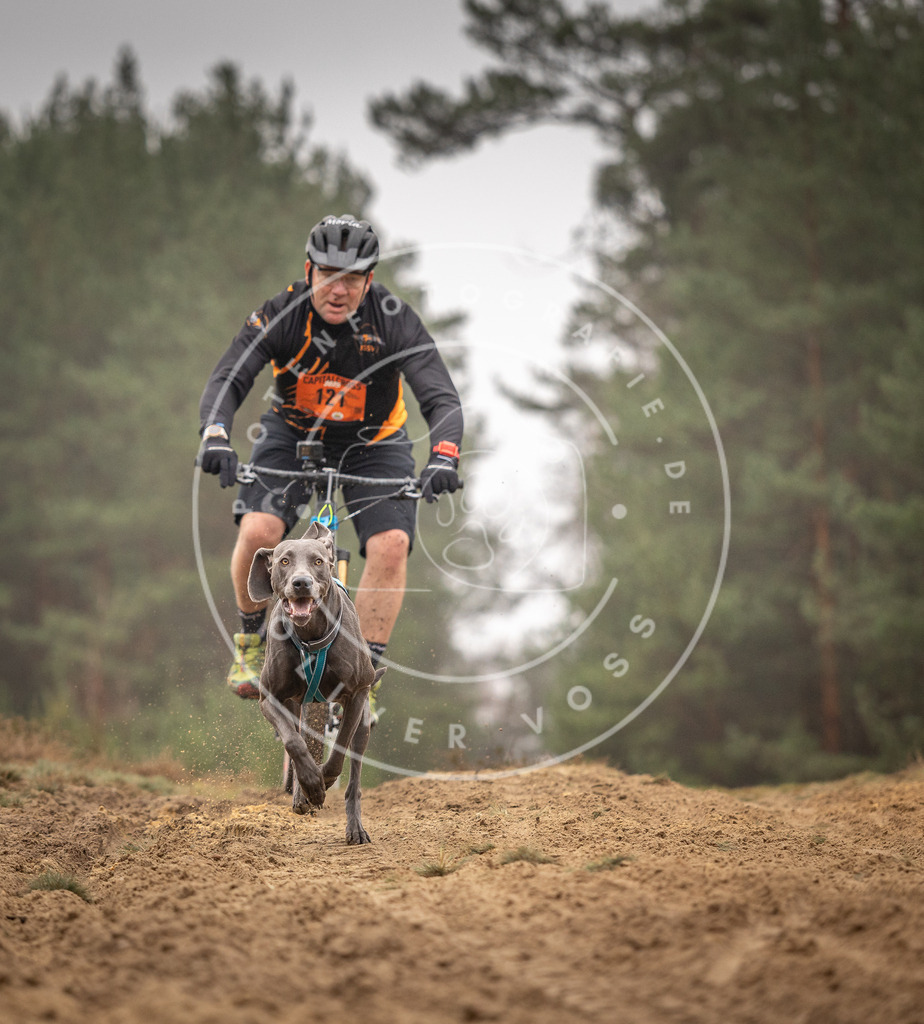 Pfotenfotografie_DV3A3518 | Hundefotografie, Tierfotograf, Pfotenfotografie, Fotoshooting Hund, Hunde Portrait, Hundesport, Hundeportraits, Heideshooting, Hunde, Sportfotograf, Hundefotograf, Turnierhundsport, THS,  - Realisiert mit Pictrs.com