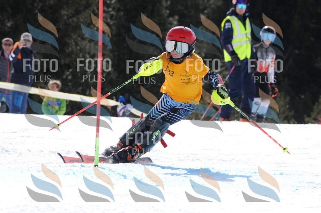 C9030 | holidayphoto