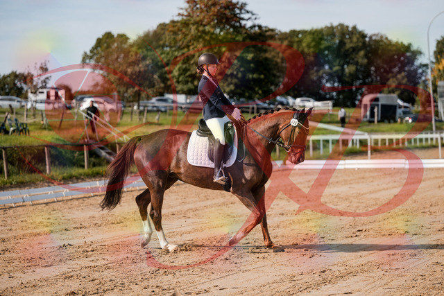 2026_10_03_Siefer-Hof_114721_Z63_25864842 | Professionelle Reitsport-, Turnier- und Eventfotografie von Robert Broda. Galerien mit ausgewählten und bearbeiteten Bildern direkt online ansehen und bestellen.