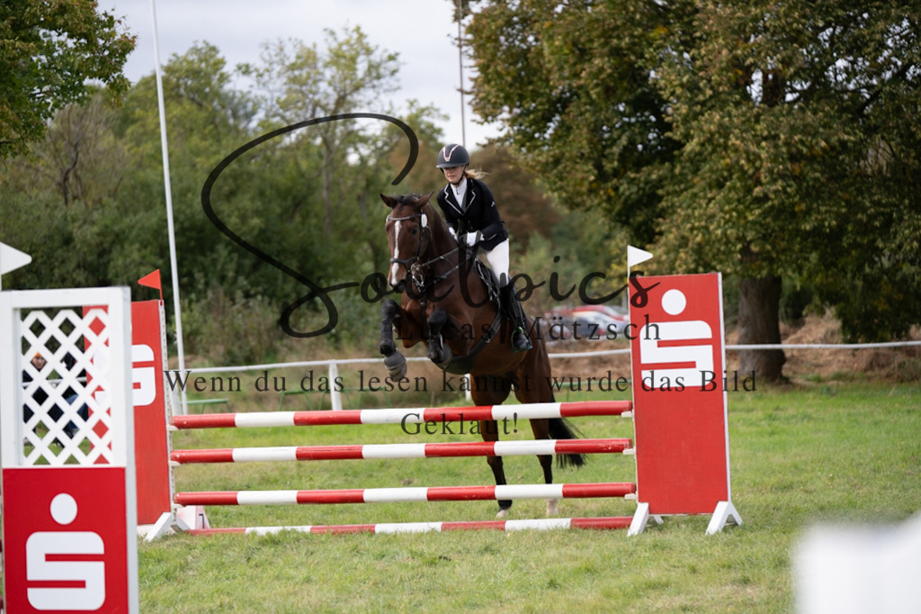 A7V06752 | Pferdefotograf