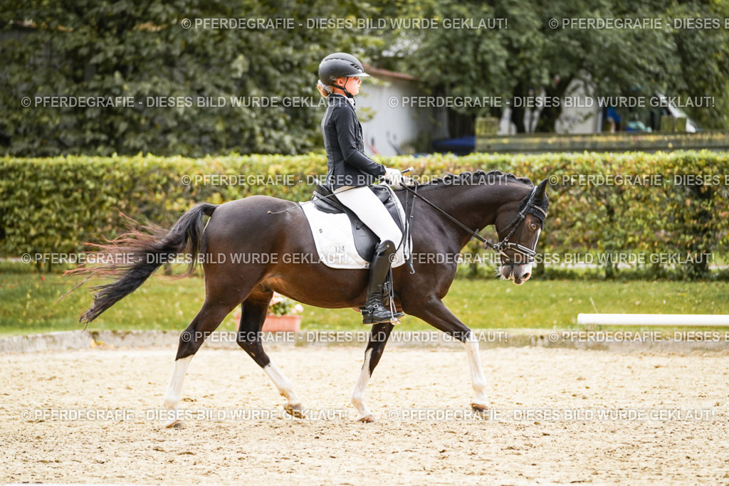 DSC00313 | Pferdegrafie