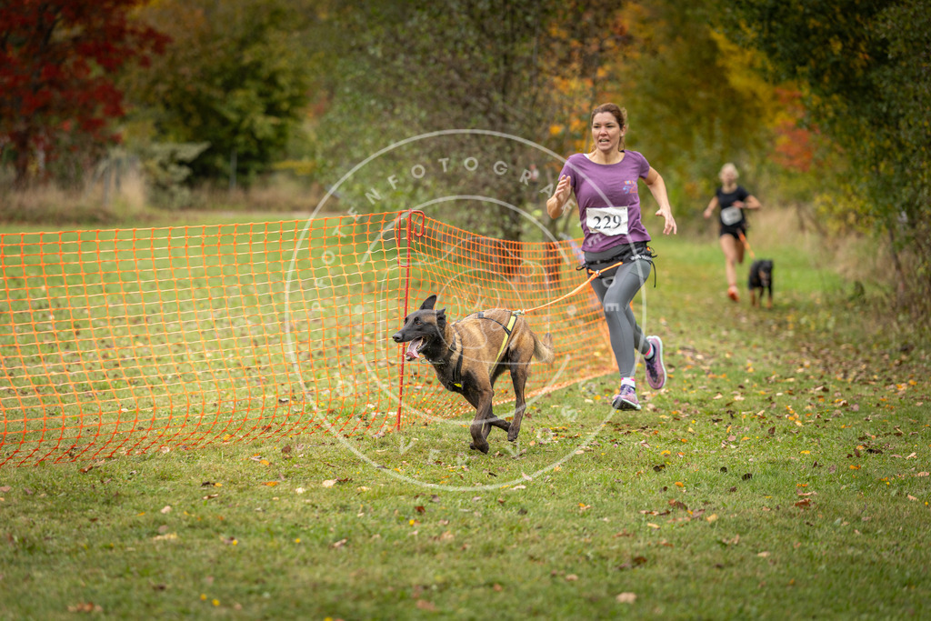 Pfotenfotografie_DV3A4535 | Hundefotografie, Tierfotograf, Pfotenfotografie, Fotoshooting Hund, Hunde Portrait, Hundesport, Hundeportraits, Heideshooting, Hunde, Sportfotograf, Hundefotograf, Turnierhundsport, THS,  - Realisiert mit Pictrs.com