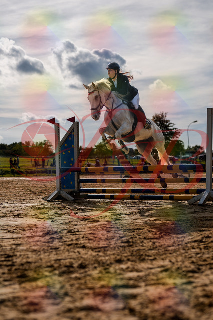 2026_10_03_Siefer-Hof_153929_Z63_08462212 | Professionelle Reitsport-, Turnier- und Eventfotografie von Robert Broda. Galerien mit ausgewählten und bearbeiteten Bildern direkt online ansehen und bestellen.