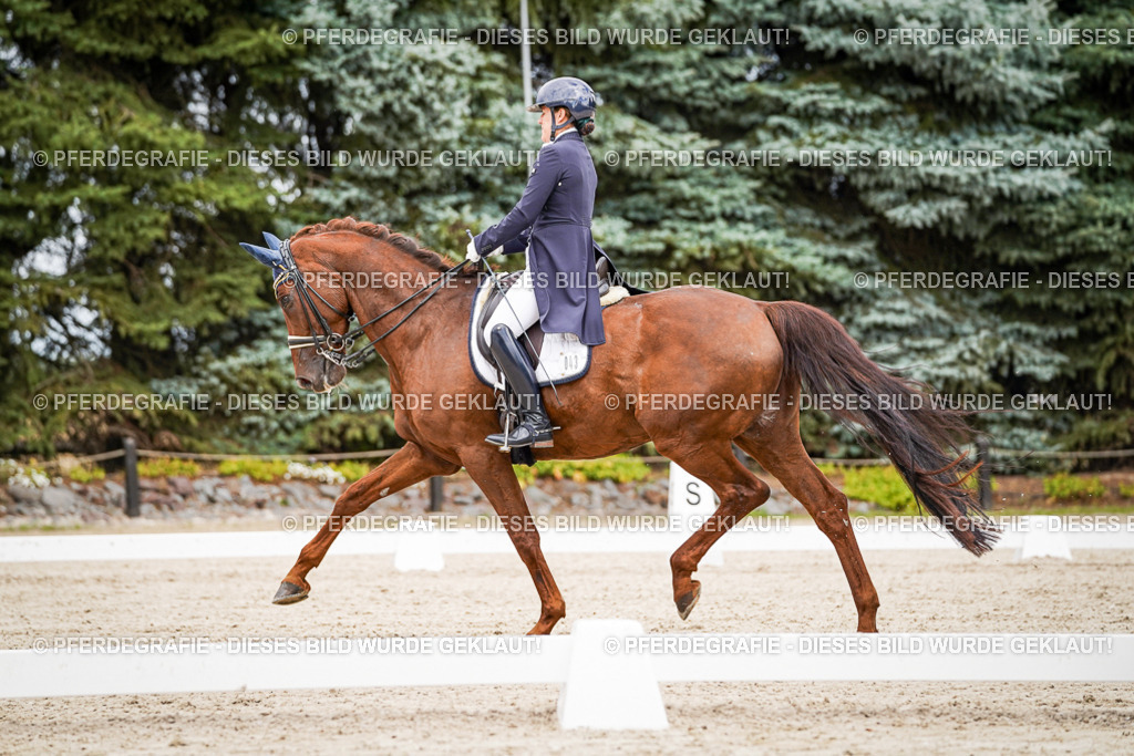 DSC05892 | Pferdegrafie