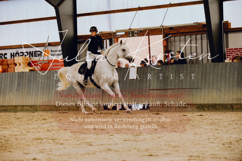 DSC_6978 | Pferde- und Turnierfotografie in Westsachsen. Pferdeportraits, Auftragszeichnungen und intuitive Kunst.