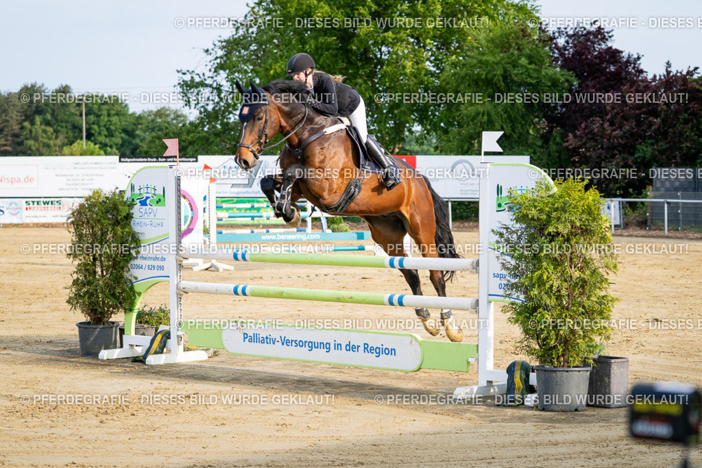 DSC02325 | Pferdegrafie