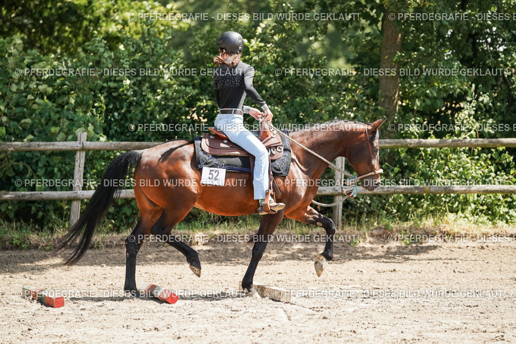 DSC07694 | Pferdegrafie