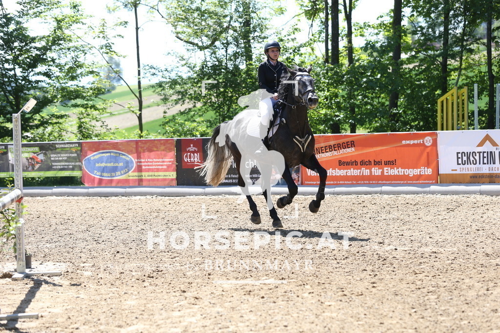 DL2Q1147 | Willkommen bei Brunnmayr - Design & Fotografie – Ihrem Spezialisten für Reitturniere und Pferdeveranstaltungen in Oberösterreich, Salzburg und Bayern! Seit über 17 Jahren sind wir leidenschaftlich dabei.