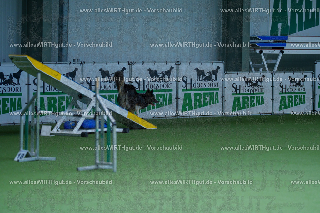 @allesWIRTHgut_Tierfotografie - www.allesWIRTHgut.de - 2604251233-7R502111 | Professionelle Tierfotografie in Mönchengladbach von Daniel Wirth (allesWIRTHgut). Liebevolle & natürliche Bilder von Hunden & Katzen für unvergessliche Erinnerungen.