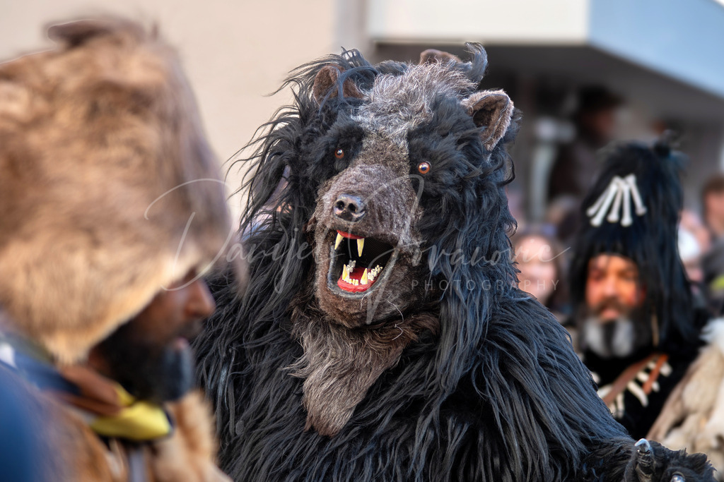 DSC01301 | Professioneller Fotograf - Bildbestellung online - Wandbilder vom Profi für ihr Zuhause, Büro, Praxis, Firma - große Auswahl an Materialien und Formaten, über 1400 regionale Motive