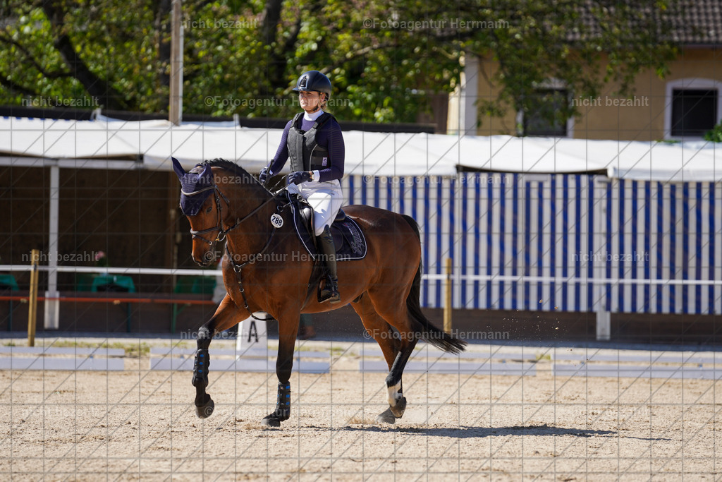 20240518-FAH03016 | rbilder, Turnierfotografen ayern, Fotoagentur Herrmann, Geländeturnier, Springbilder, Dressurbilder, Jungpferdefotograf