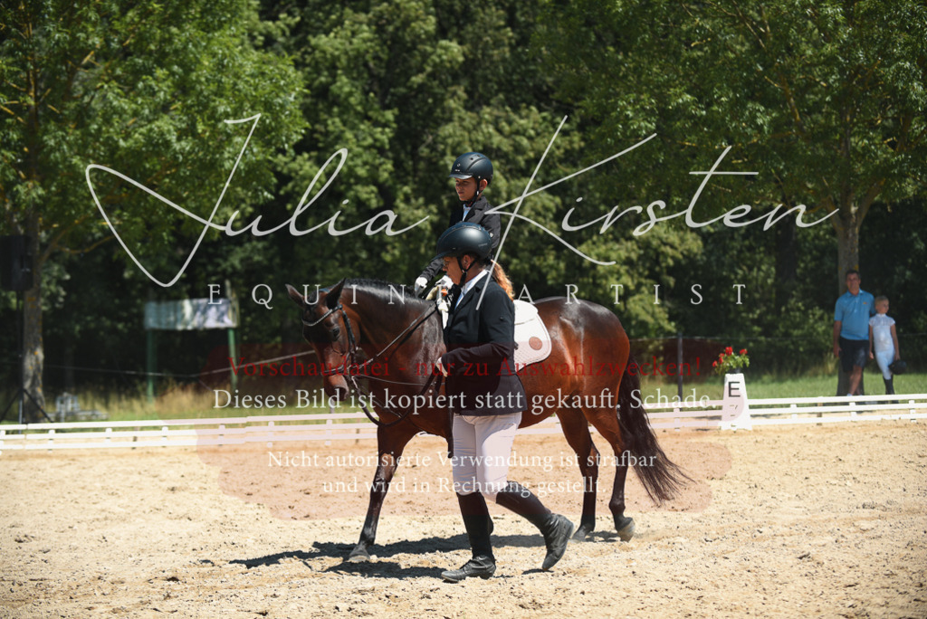 DSC_1833 | Pferde- und Turnierfotografie in Westsachsen. Pferdeportraits, Auftragszeichnungen und intuitive Kunst.