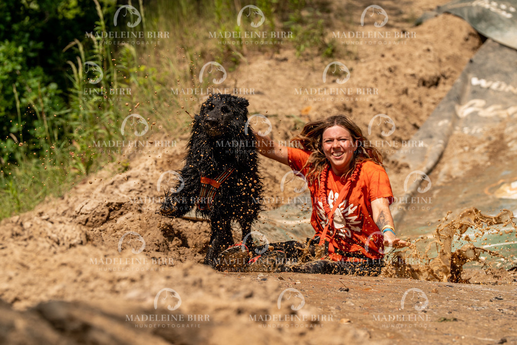 madeleinebirr.fotografie.2026.CC-hoope.samstag.14-56-20.289 | hundefotografie-birr