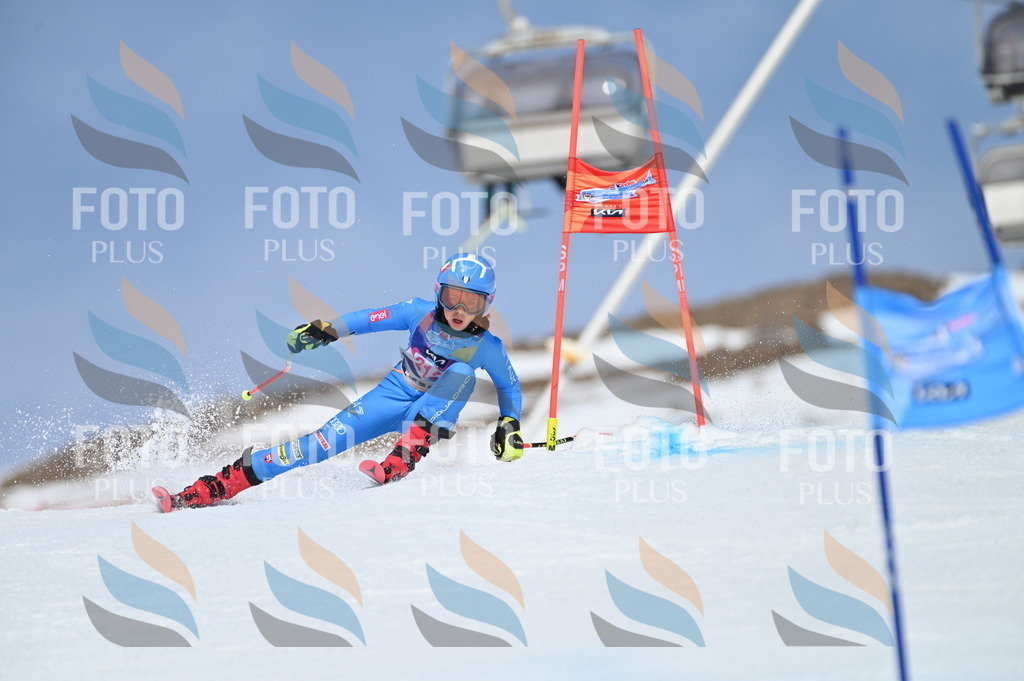 BGV_1159 | holidayphoto