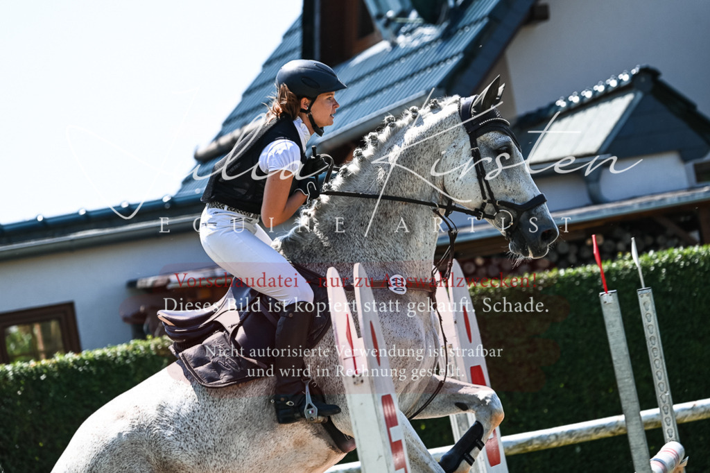 DSC_0317 | Pferde- und Turnierfotografie in Westsachsen. Pferdeportraits, Auftragszeichnungen und intuitive Kunst.