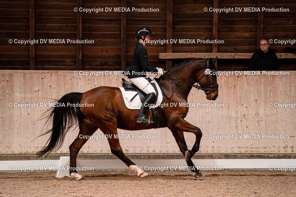 Dressur Tag 2-336 | dv-media-shop - Realisiert mit Pictrs.com