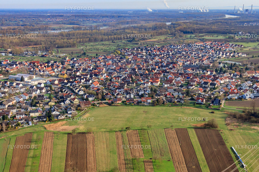Ortsansicht von Süden mit Rheinauhalle und -Schule | Luftbild: Ortsansicht von Süden mit Rheinauhalle und -Schule in Au am Rhein im Bundesland Baden-Württemberg in Deutschland. Foto: IMG_25546.jpg vom 02.04.2010 durch Werner Riehm/FLY-FOTO.de - Realisiert mit Pictrs.com