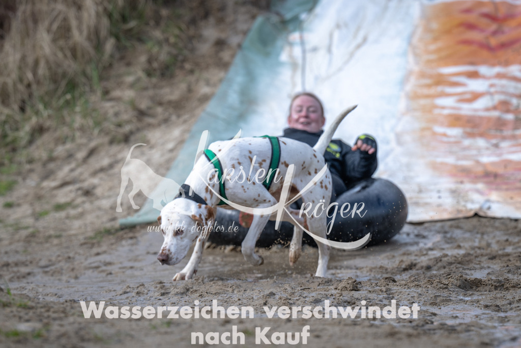 1123_ZZ93355 | kk-dogfotos