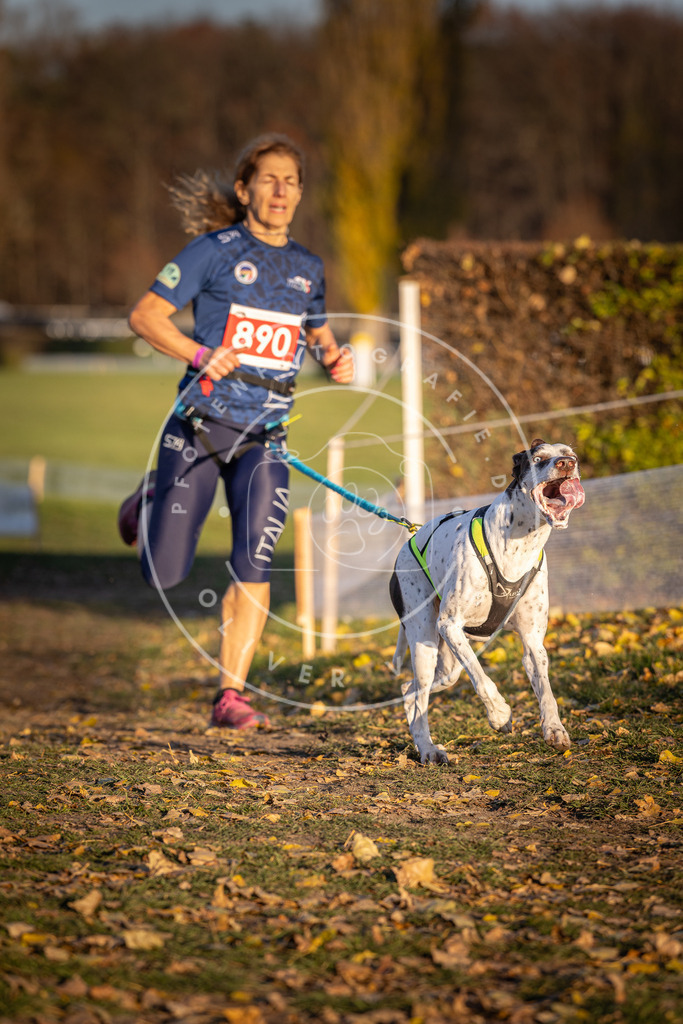 CaniXpix_DV3A4494 | Hundefotografie, Tierfotograf, Pfotenfotografie, Fotoshooting Hund, Hunde Portrait, Hundesport, Hundeportraits, Heideshooting, Hunde, Sportfotograf, Hundefotograf, Turnierhundsport, THS,  - Realisiert mit Pictrs.com