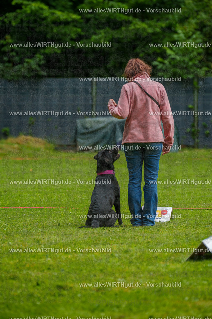 @allesWIRTHgut_Tierfotografie - www.allesWIRTHgut.de - 7R503104 | Professionelle Tierfotografie in Mönchengladbach von Daniel Wirth (allesWIRTHgut). Liebevolle & natürliche Bilder von Hunden & Katzen für unvergessliche Erinnerungen.
