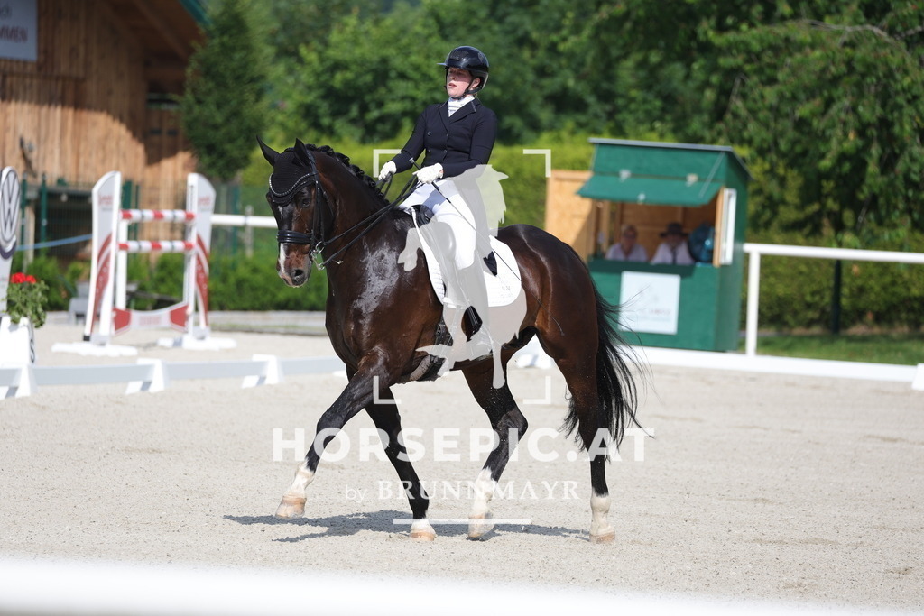 0P6A6725 | Willkommen bei Brunnmayr - Design & Fotografie – Ihrem Spezialisten für Reitturniere und Pferdeveranstaltungen in Oberösterreich, Salzburg und Bayern! Seit über 17 Jahren sind wir leidenschaftlich dabei.