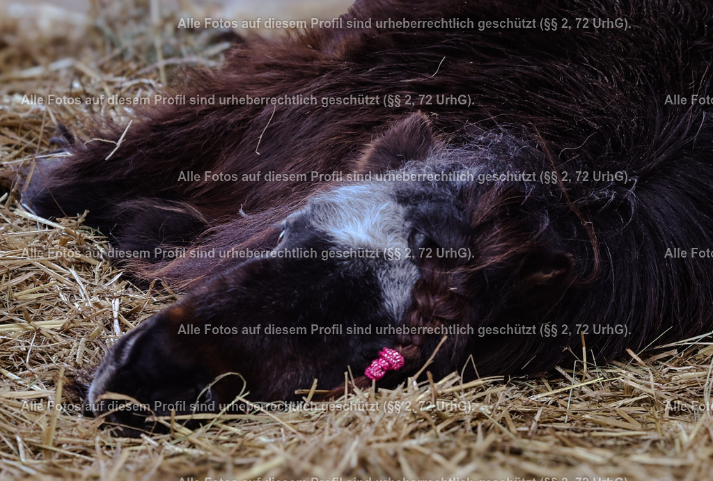 1P5A9025 (1) | krollfotografie - Realisiert mit Pictrs.com