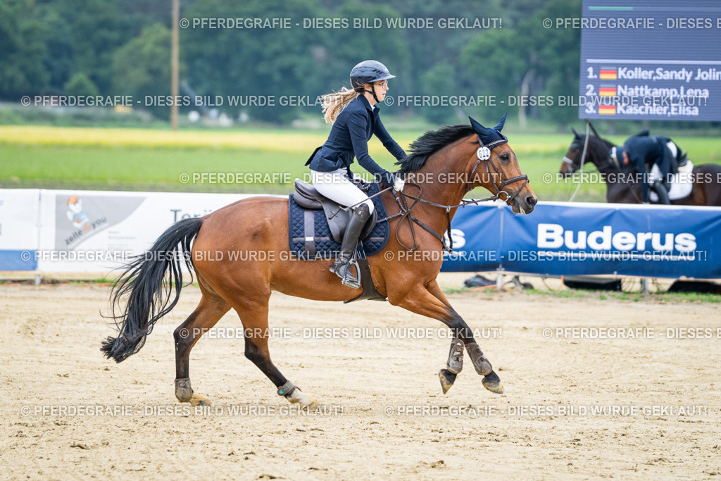 DSC03723 | Pferdegrafie