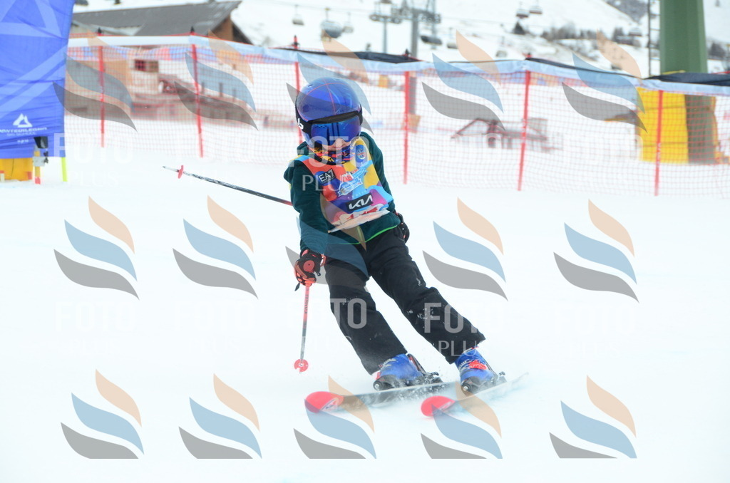 DSC_1216 | holidayphoto