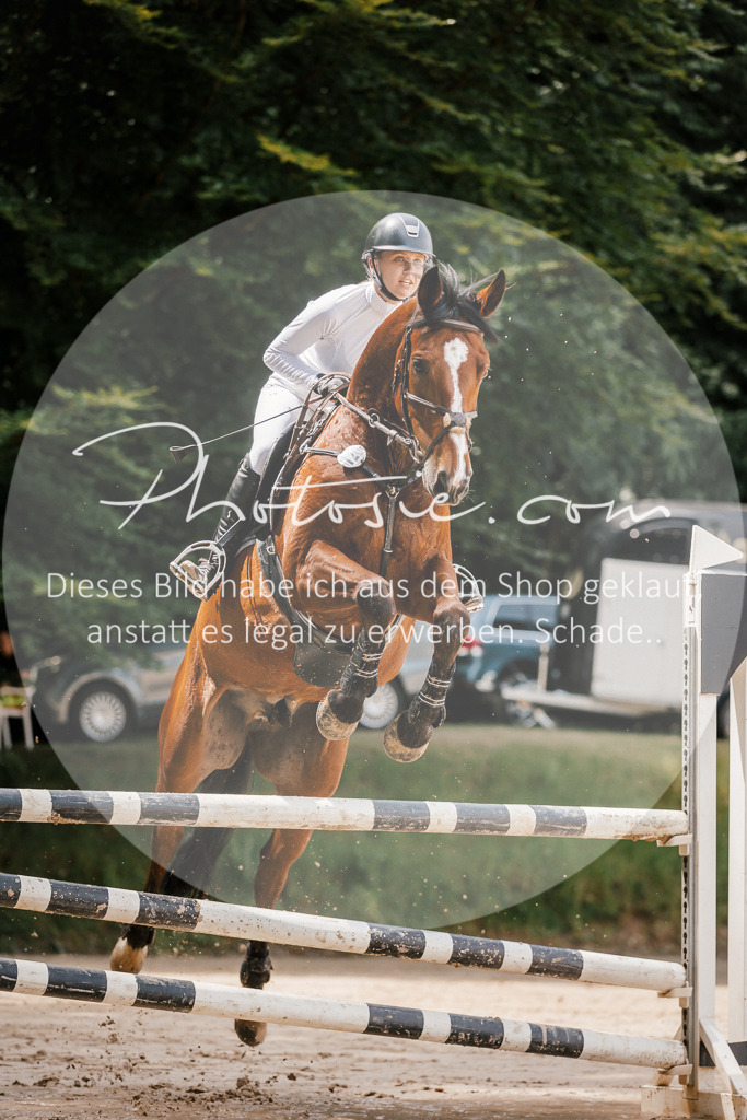 3I6A7761 | Stimmungsvolle Portraits und Reitsportfotografie im Ruhrgebiet und im Münsterland.

Pferdefotografie, Hundefotografie, Tierfotografie, Reportagen, Portraits von Tier und Mensch, Turnierfotografie in Bochum, Recklinghausen, Marl, Haltern am See, Dülmen.. - Realisiert mit Pictrs.com