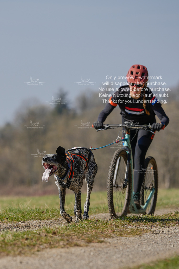 Scooter_Lang-62 | stephaniefillaphotographie - Realisiert mit Pictrs.com