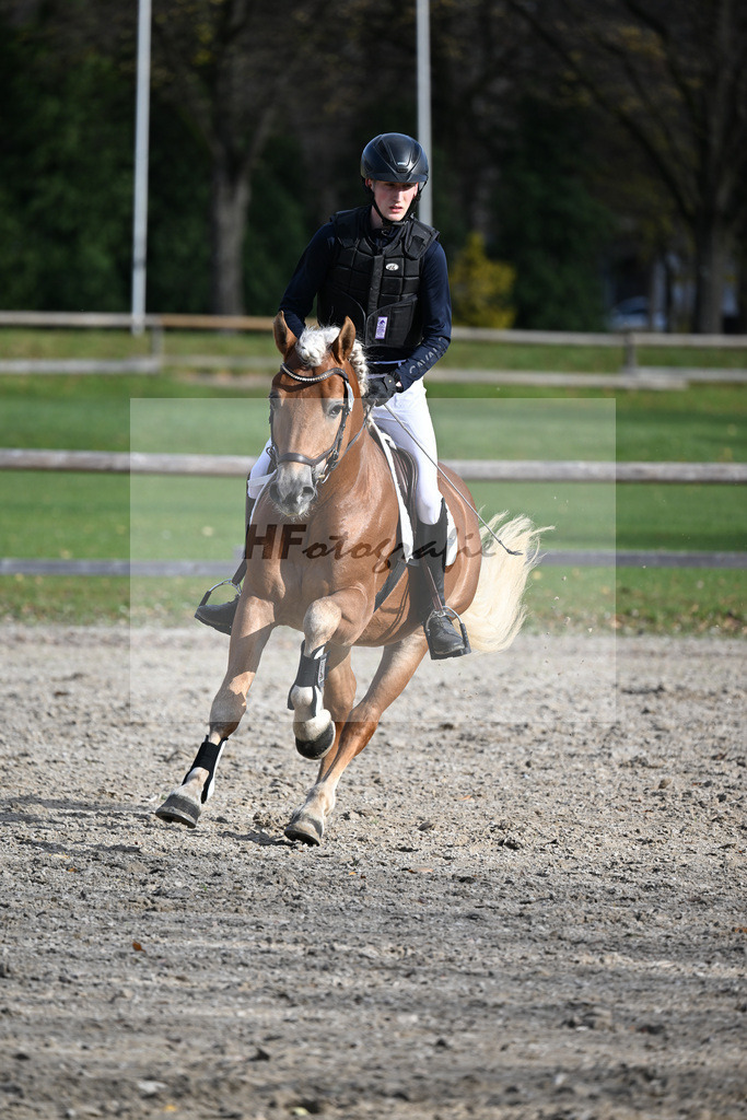 Kat-Nr. 9 Whisky Coke v. Wyno_Wendel_43250589 | hf-fotografie - Realizzato con Pictrs.com