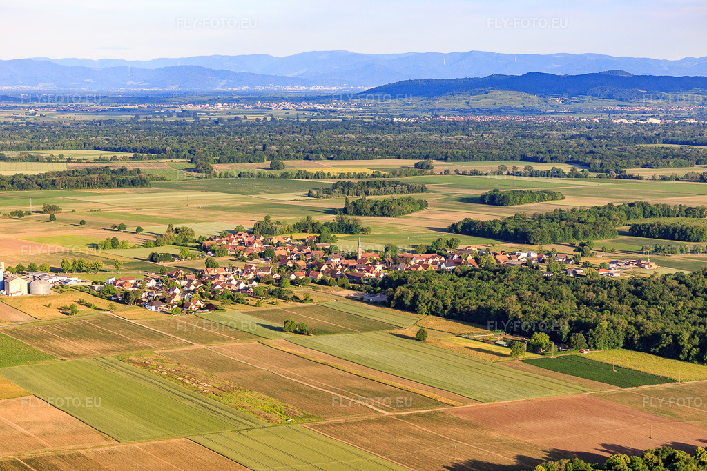 Vue aérienne: Vue du village depuis le nord-ouest à Richtolsheim dans le département Bas Rhin, France. Photo: IMG_147362.jpg prise le 29/05/2025 par Werner Riehm/FLY-FOTO.eu – Résolution de l'original: 5378 x 3585 px