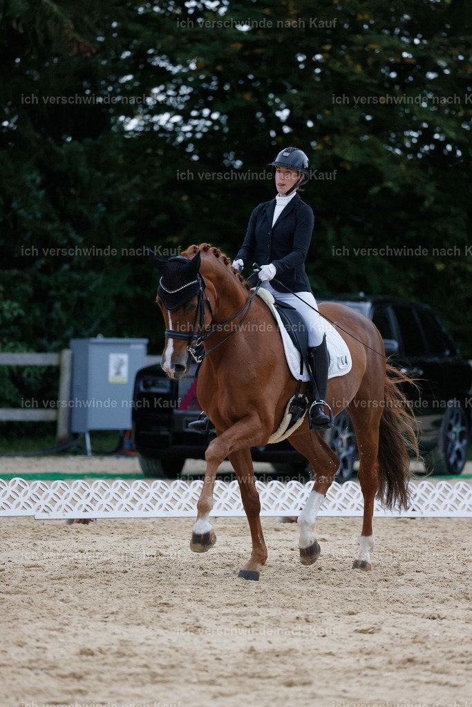 04_2-064-Dressur M__ -StoibPH-2987 | working equitationturnier fotograf videograf stoibphotography marixx film working equitation deutschland reitsport turnierfotografie eventfotografie equestrian events