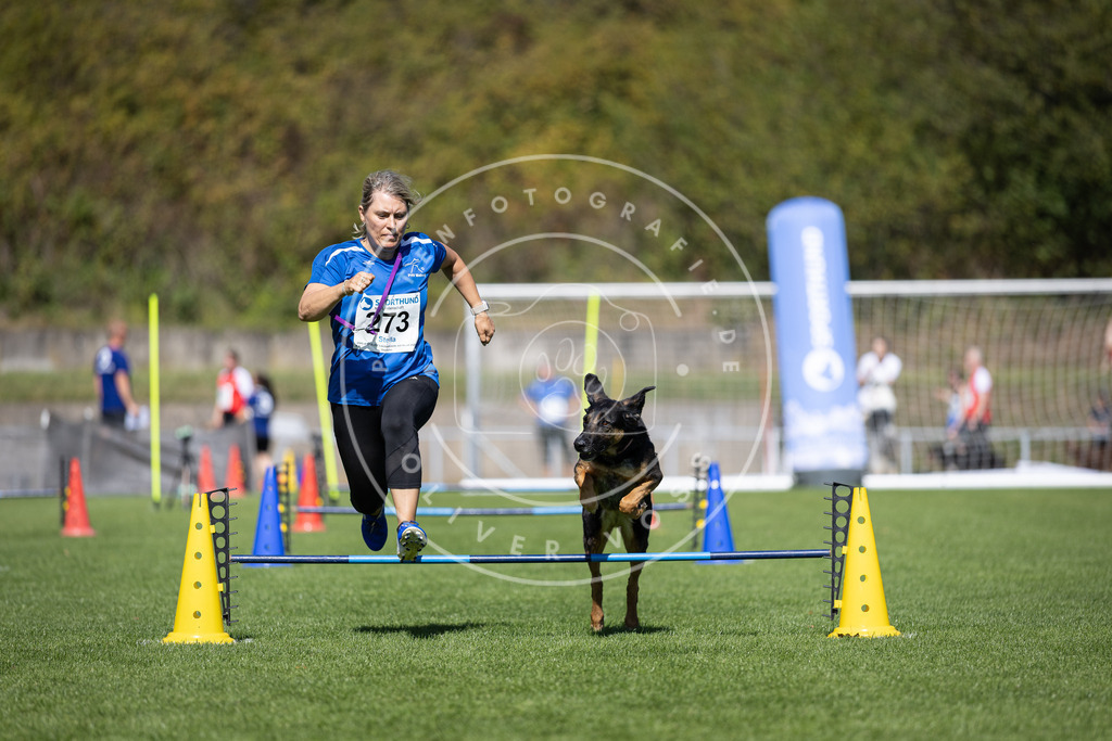 Pfotenfotografie_DV3A6898 | Hundefotografie, Tierfotograf, Pfotenfotografie, Fotoshooting Hund, Hunde Portrait, Hundesport, Hundeportraits, Heideshooting, Hunde, Sportfotograf, Hundefotograf, Turnierhundsport, THS,  - Realisiert mit Pictrs.com