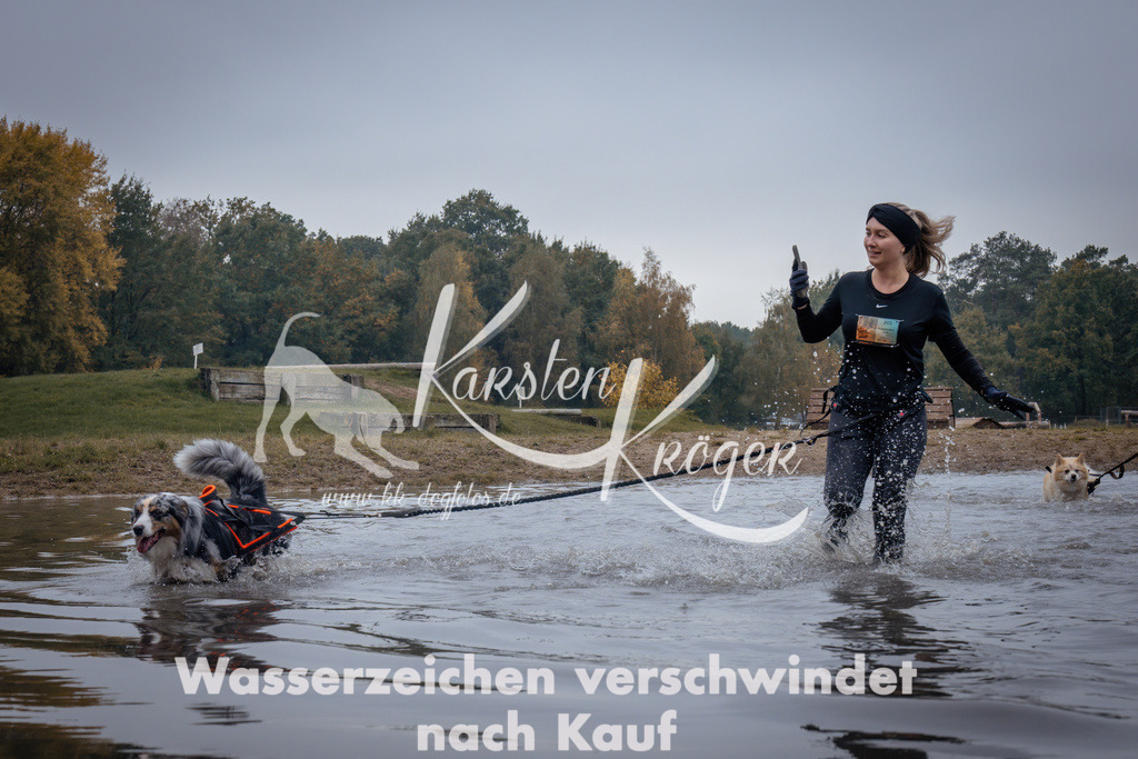 1217_ZZ99081 | kk-dogfotos